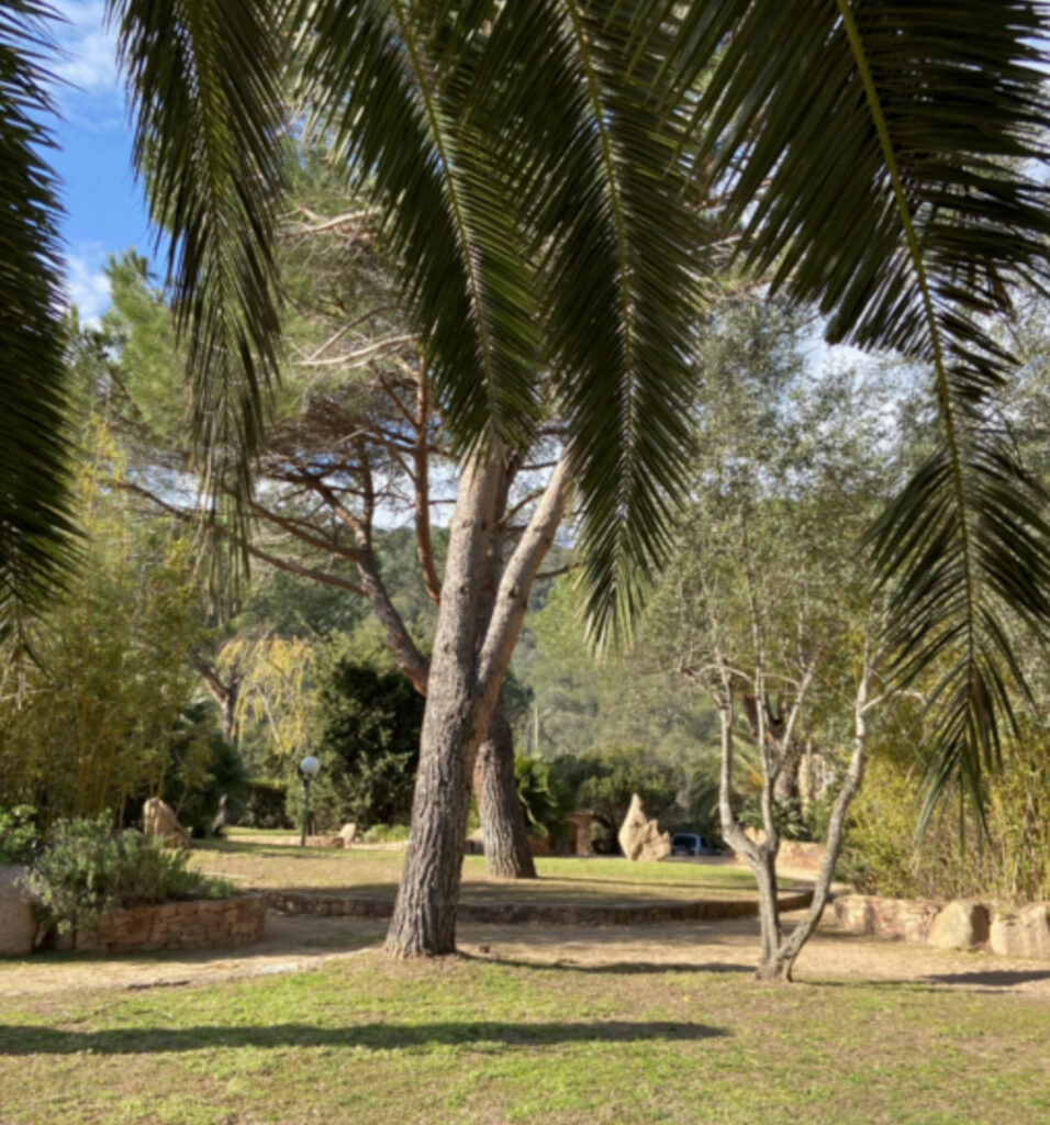 Investir dans des Villas à Porto-Vecchio en Crowdfunding Immobilier Sans Apport ou crédit Corse