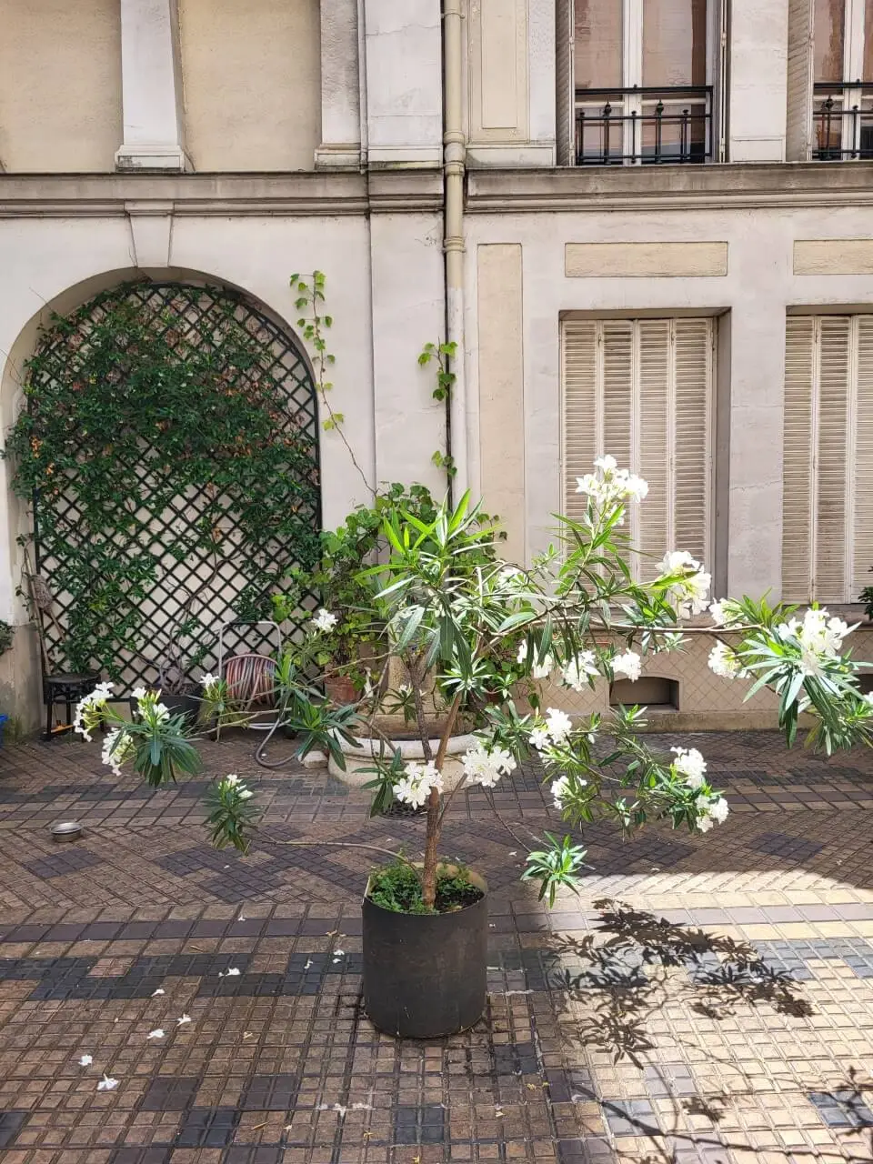investir en crowdfunding immobilier et achat fractionné Studio Assas Paris 6e-image-2